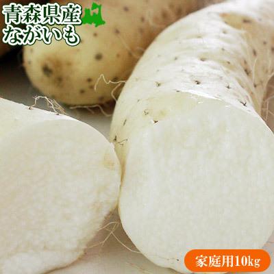 長芋 訳あり 送料無料 青森県 東北町 七戸町産 【青森県産ながいも家庭