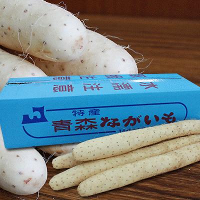 長芋 訳あり 送料無料 青森県 東北町 七戸町産 【青森県産ながいも家庭