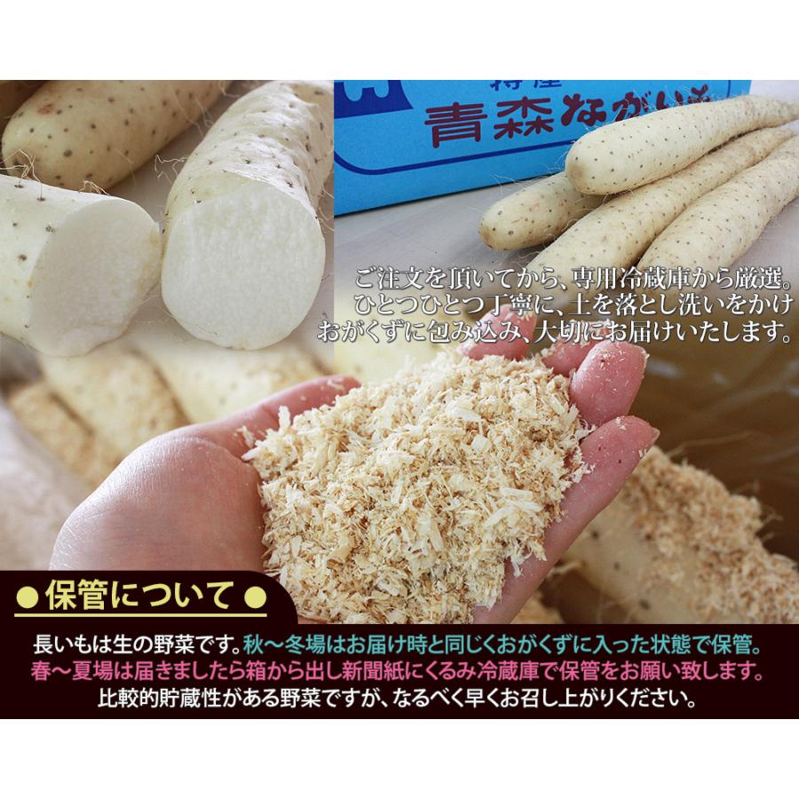 長芋 訳あり 送料無料 青森県 東北町 七戸町産 【青森県産ながいも家庭