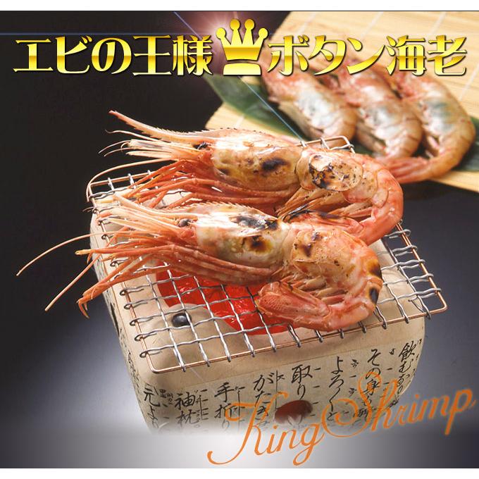 お刺身用 特大ボタンエビ 500g】 エビの王様とも称される、濃厚な甘味