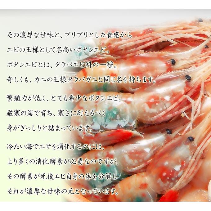 お刺身用 特大ボタンエビ 500g】 エビの王様とも称される、濃厚な甘味