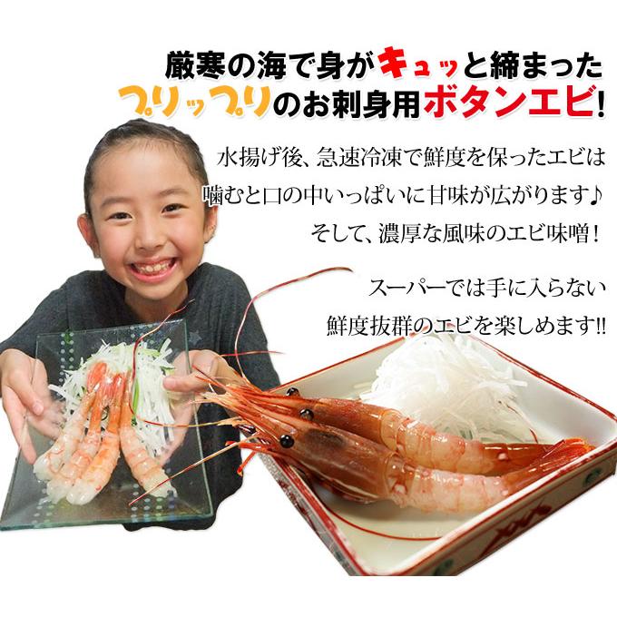 お刺身用 特大ボタンエビ 500g】 エビの王様とも称される、濃厚な甘味
