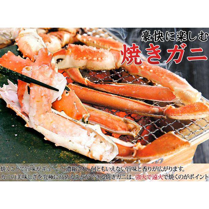 食品 ボイル松葉蟹尽くし究極セット！