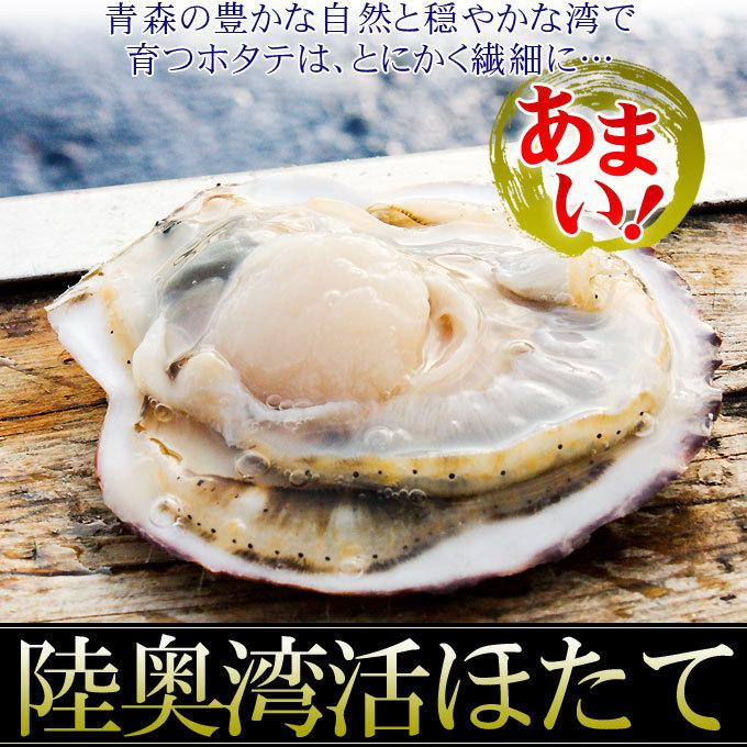 ほたて 活貝 送料無料 青森陸奥湾 【耳吊り ホタテ 7kg前後49-70枚