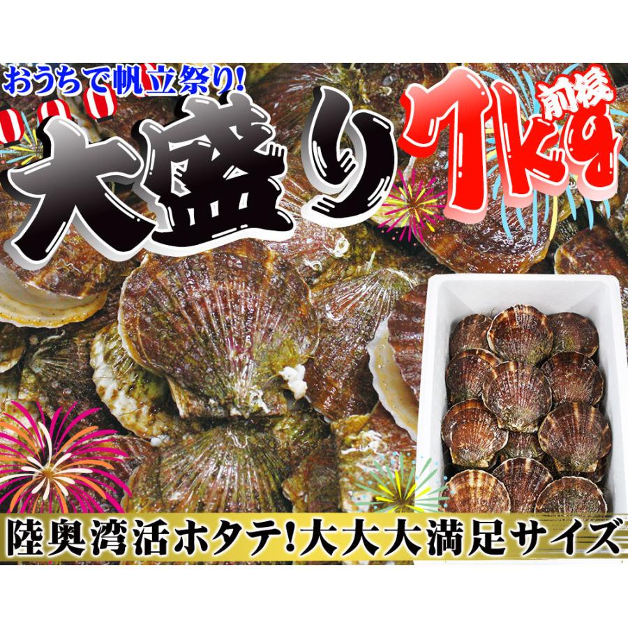 ほたて 活貝 送料無料 青森陸奥湾 【耳吊り ホタテ 7kg前後49-70