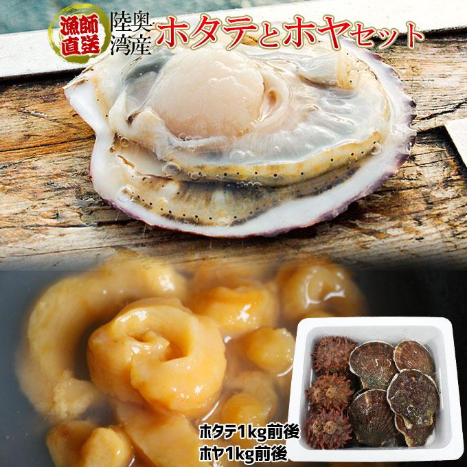活ほたて 天然ホヤの贅沢セット 送料無料 青森陸奥湾 ホタテ 2kg前後8 15枚 天然ホヤ 1kg2 5個 漁師直送便 冷蔵便 産地直送のため同梱不可 112dm かめあし商店オンラインショップ 通販 Yahoo ショッピング