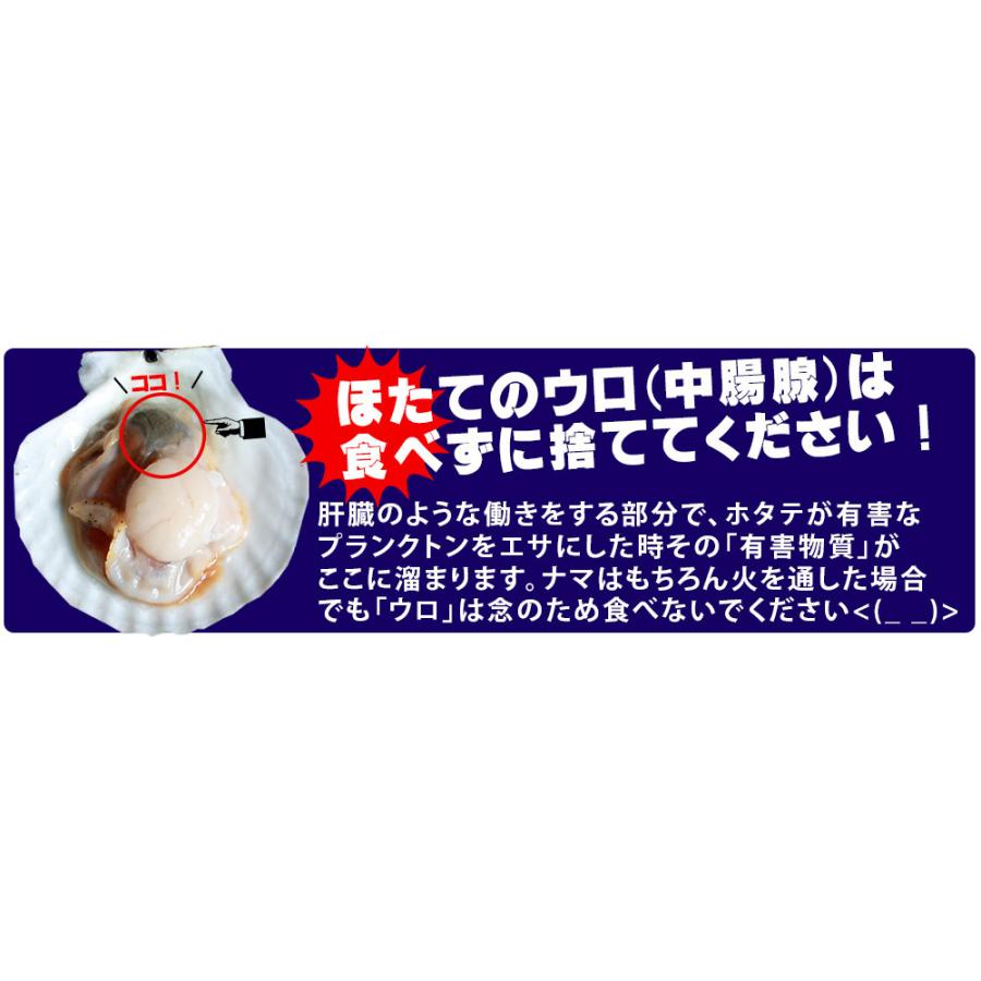 殻付き 活ほたて 稚貝 送料無料 青森陸奥湾 ホタテ稚貝 2kg前後 40 60枚 品 ベビーホタテ クール便 産地直送のため同梱不可 112dm かめあし商店オンラインショップ 通販 Yahoo ショッピング