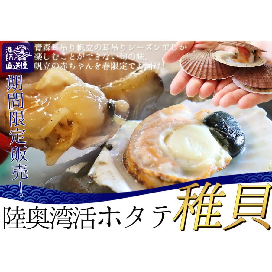 殻付き 活ほたて 稚貝 送料無料 青森陸奥湾 ホタテ稚貝 2kg前後 40 60枚 品 ベビーホタテ クール便 産地直送のため同梱不可 112dm かめあし商店オンラインショップ 通販 Yahoo ショッピング