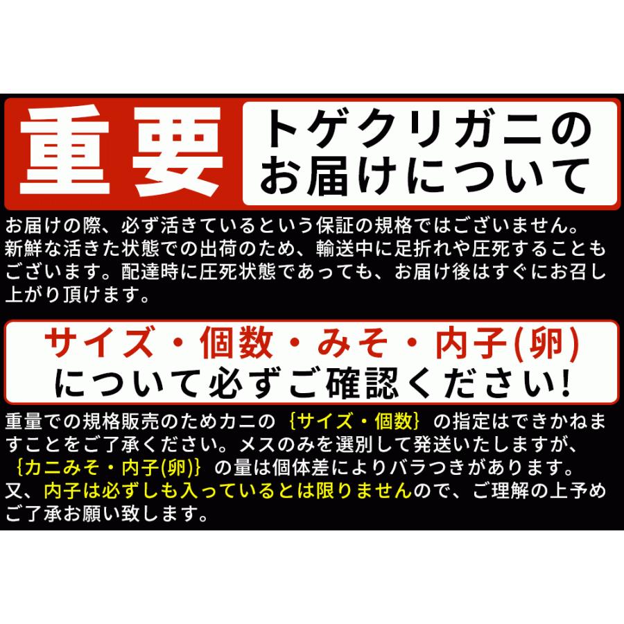トゲクリガニ 活カニ 送料無料 青森陸奥湾 【トゲクリガニ 1kg前後 4-6
