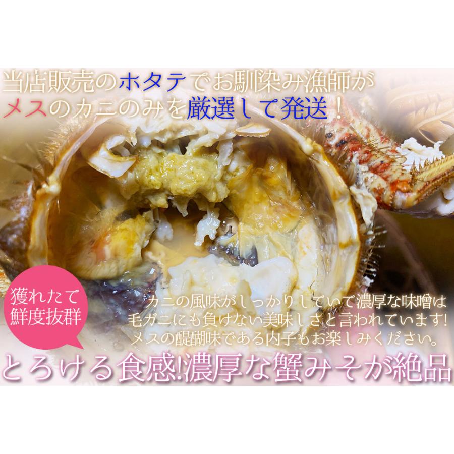 トゲクリガニ 活カニ 送料無料 青森陸奥湾 【トゲクリガニ 1kg前後 4-6