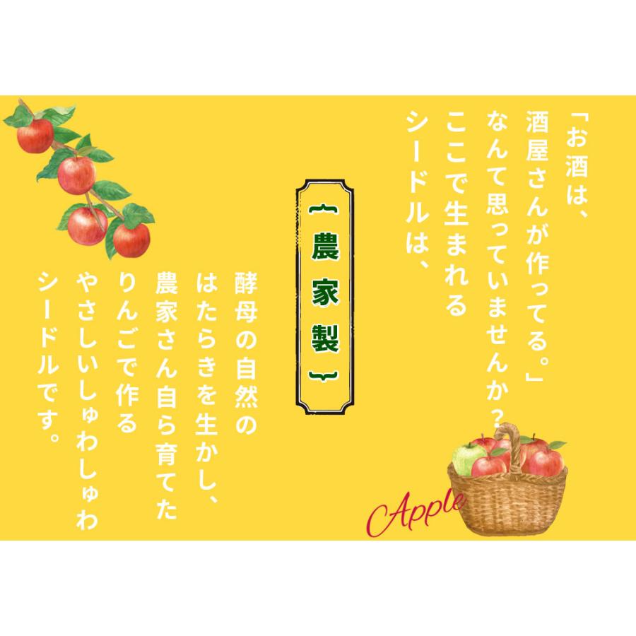 青森 りんご 無濾過 シードル 送料無料 【キモリシードル 375ml×12本