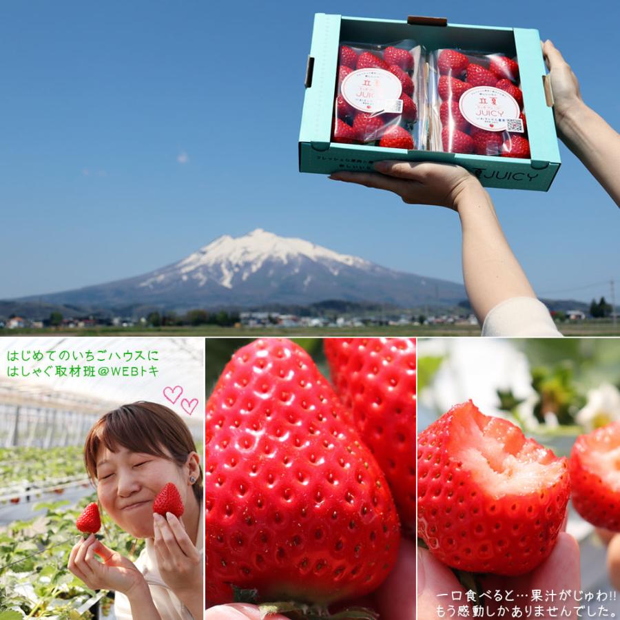 朝採り 完熟 いちご 【青森県産いちご 立夏JUICY 240g以上×2パック
