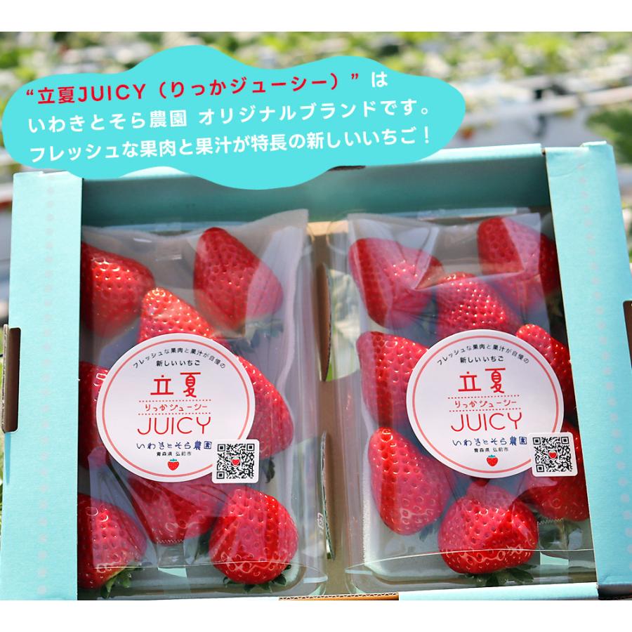 いちごページ 朝採り 完熟 いちご 【青森県産いちご 立夏JUICY 240g以上×2パック