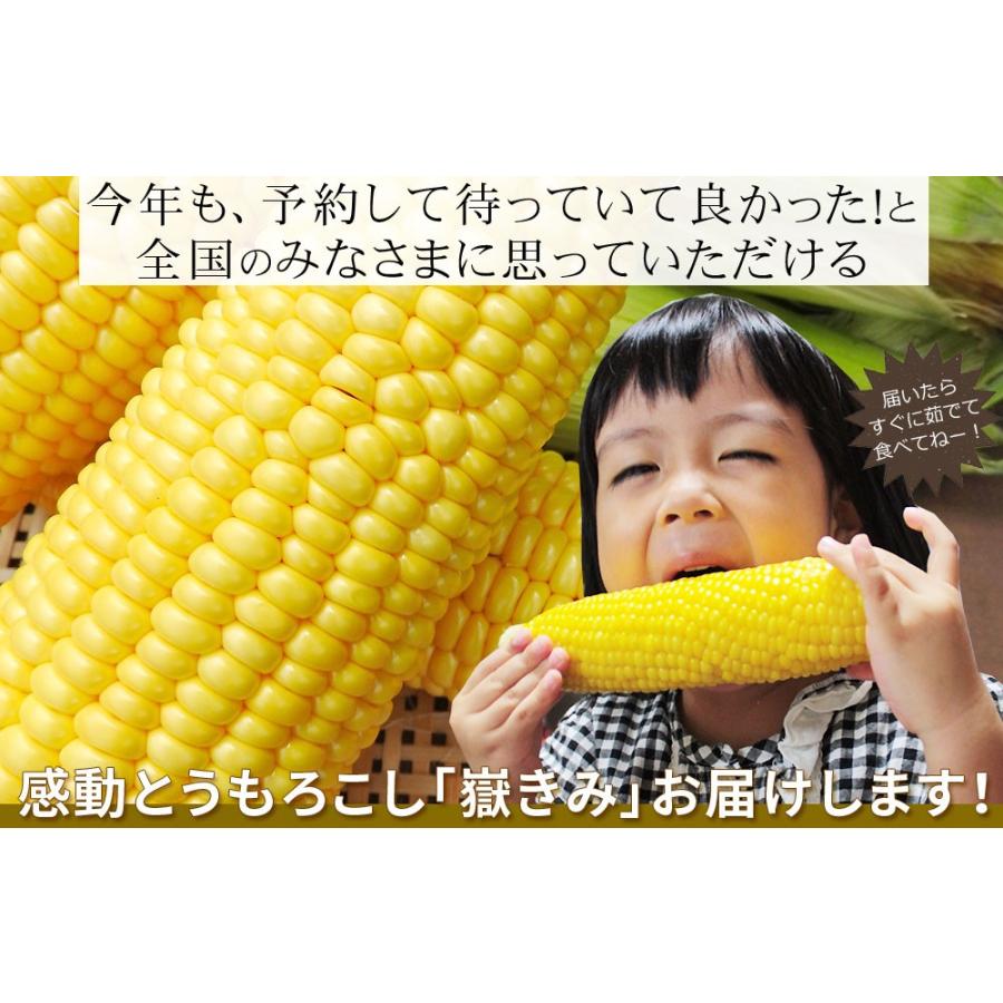 極みの極甘 とうもろこし 嶽きみ 送料無料 青森県が誇るブランド