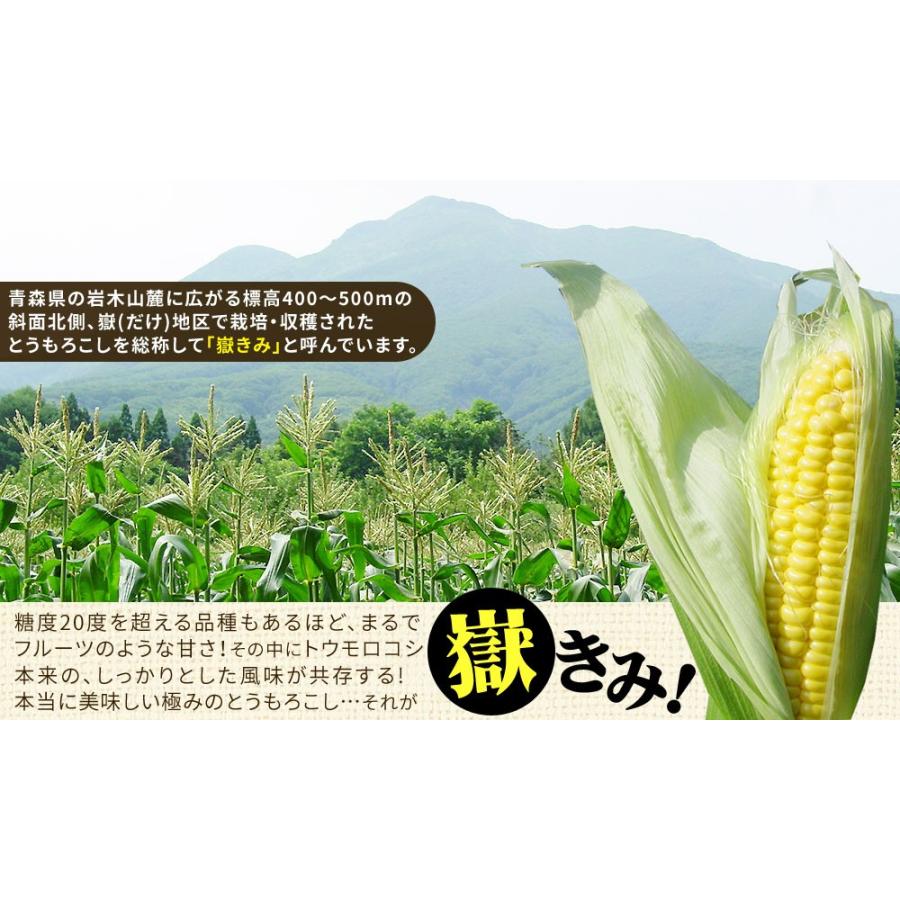 極みの極甘 とうもろこし 嶽きみ 送料無料 青森県が誇るブランド