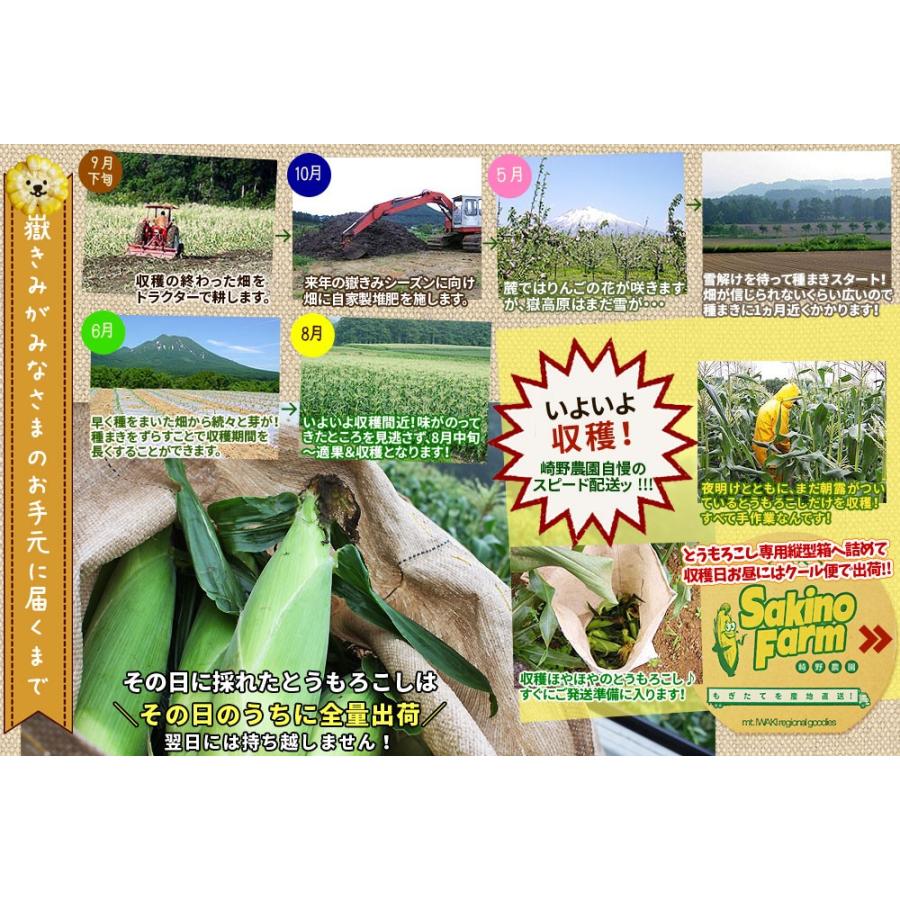極みの極甘 とうもろこし 嶽きみ 送料無料 青森県が誇るブランド