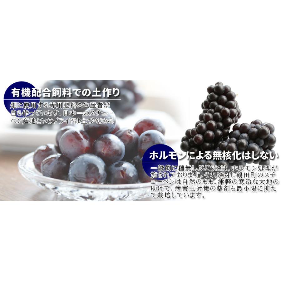 青森県産ぶどう スチューベン1.5kg】(4-7房入 サイズMー2L混合)贈答用