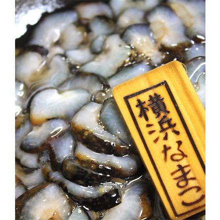 期間限定出荷 青森県横浜町産 なまこ 送料無料 横浜なまこ500ｇ 活ほたて2kg ナマコ クール便 他商品と同梱不可 配送日指定不可 Om 112av かめあし商店オンラインショップ 通販 Yahoo ショッピング