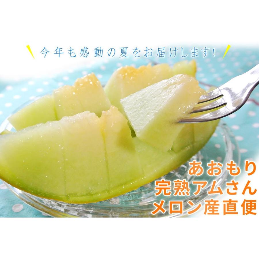 メロン☆購入前在庫＆プロフ確認お願い メロン 送料無料 青森県産 大玉【アムさんメロン 2玉 約2.5Kg