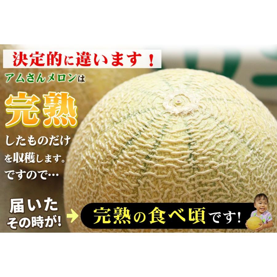 メロン 送料無料 青森県産 アムさんメロン 5 6玉 約8kg前後 L 2lサイズ 青森の完熟高級 めろん 青森 完熟 アムさん メロン 産地直送 常温便 Om 111be かめあし商店オンラインショップ 通販 Yahoo ショッピング