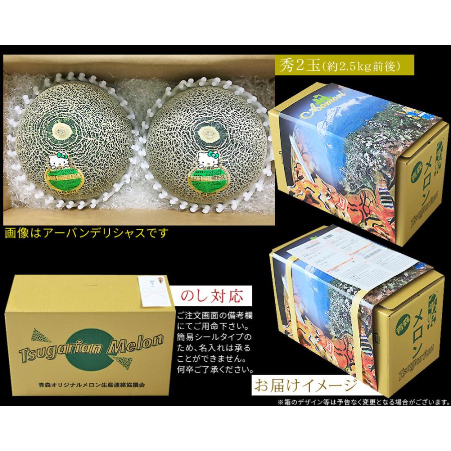 青森県産【つがりあん メロン 2玉 約2.5Kg前後】 L-2Lサイズ 送料無料