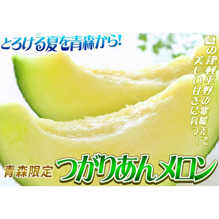 青森県産【つがりあん メロン 2玉 約2.5Kg前後】 L-2Lサイズ 送料無料