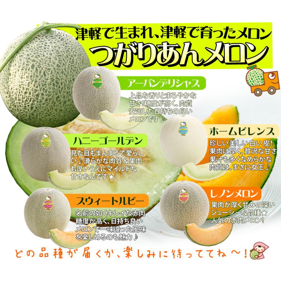 「専用」M メロン 6玉 2箱 最短4月発送！通年栽培】純系マスクメロン2玉（化粧箱入） メロン