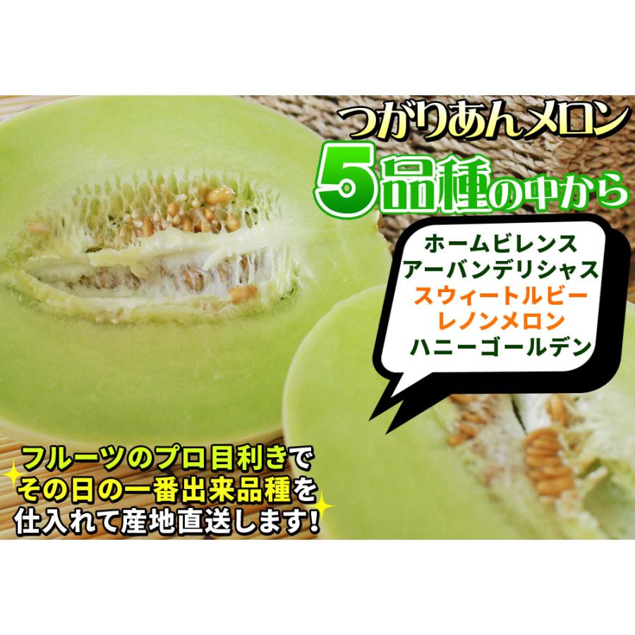 青森県産【つがりあん メロン 2玉 約2.5Kg前後】 L-2Lサイズ 送料無料