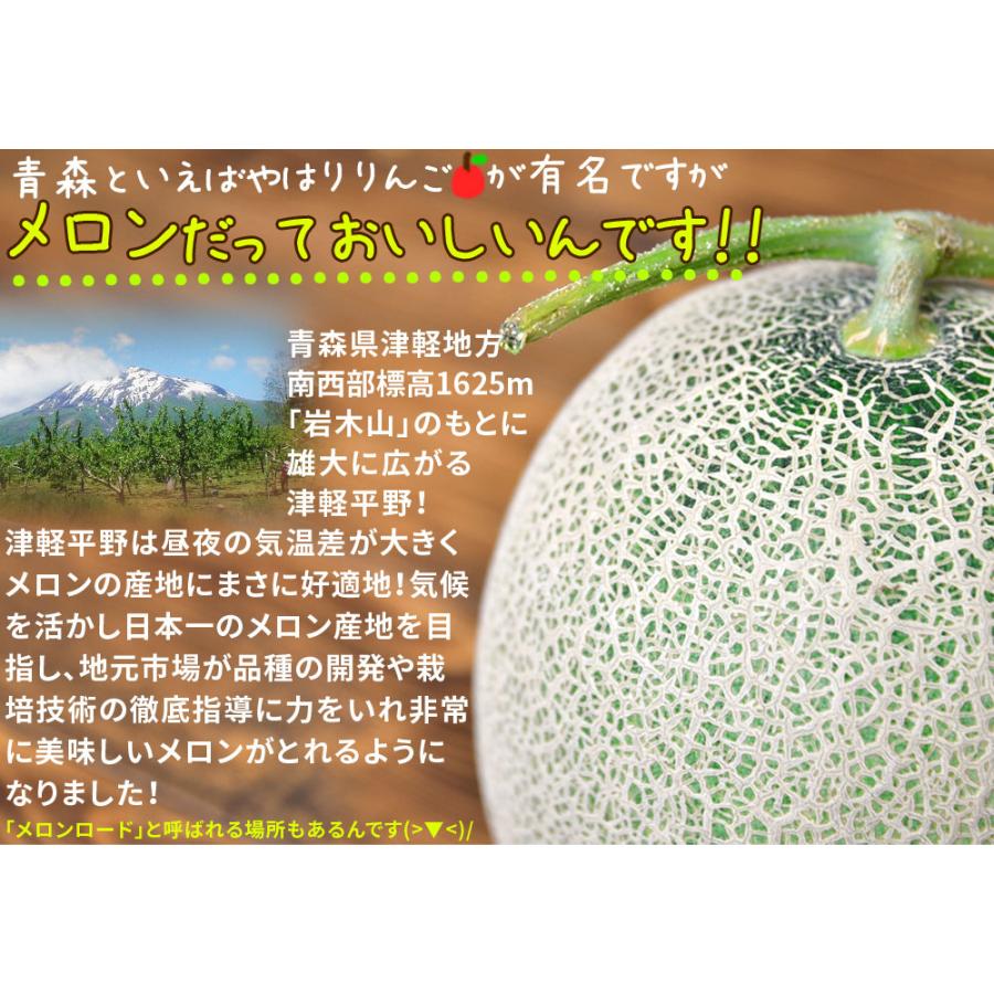 青森県産【つがりあん メロン 2玉 約2.5Kg前後】 L-2Lサイズ 送料無料