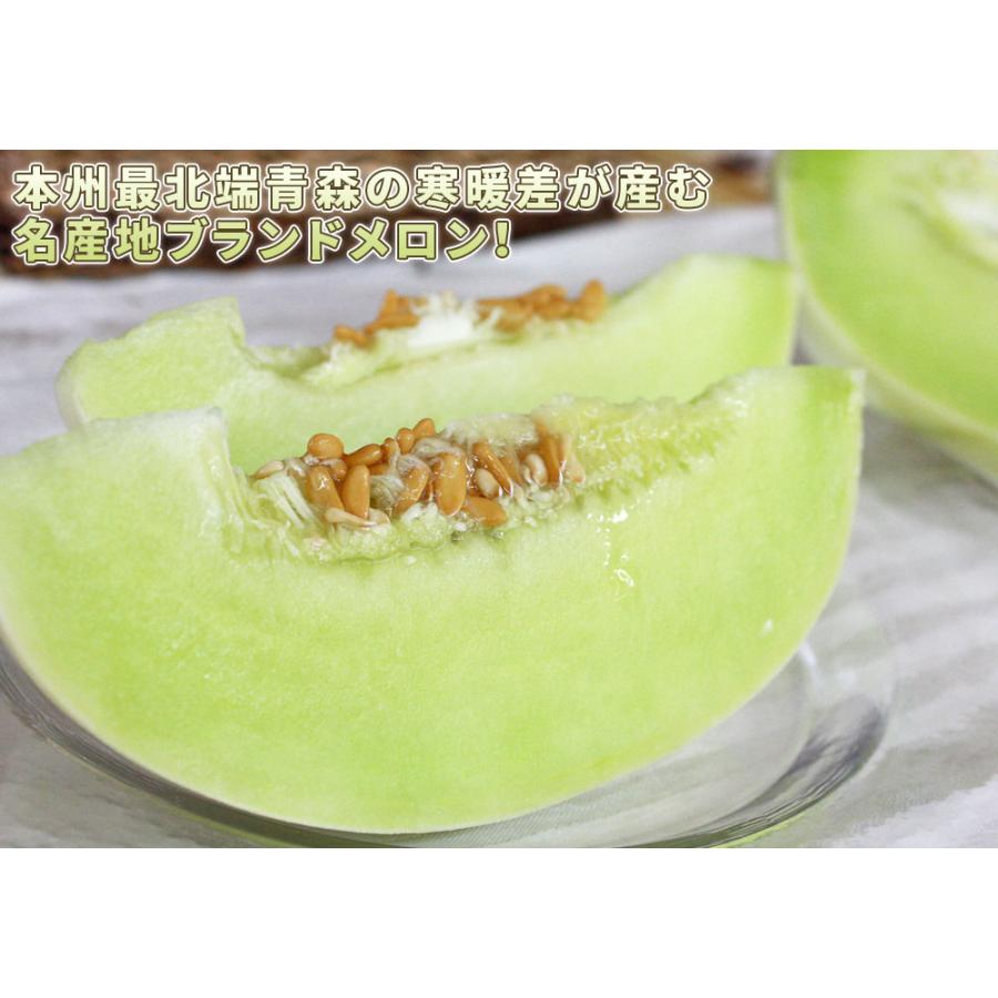 青森県産【つがりあん メロン 2玉 約2.5Kg前後】 L-2Lサイズ 送料無料