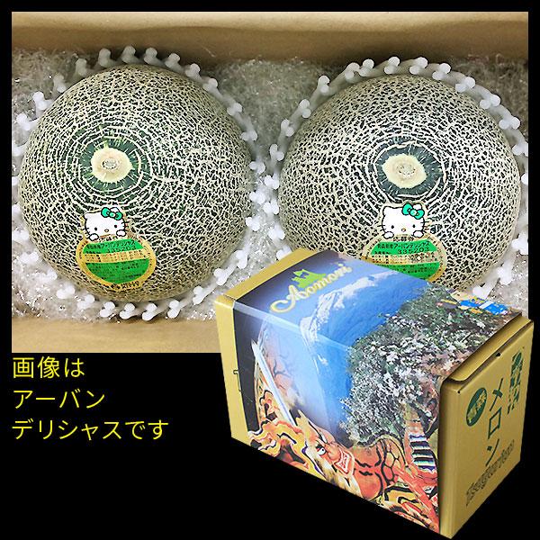 メロン② 青森県産【つがりあん メロン 2玉 約2.5Kg前後】 L-2Lサイズ 送料無料