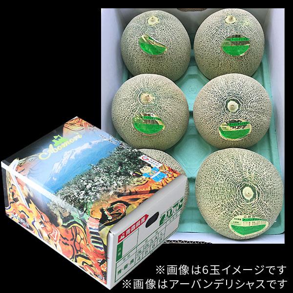 青森県産【つがりあん メロン 4-6玉 約8Kg前後】 L-3Lサイズ 送料無料