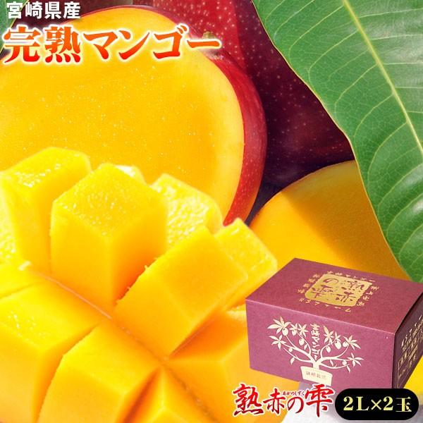 マンゴー 送料無料 宮崎 完熟 【マンゴー 熟赤の雫 化粧箱2玉（2L