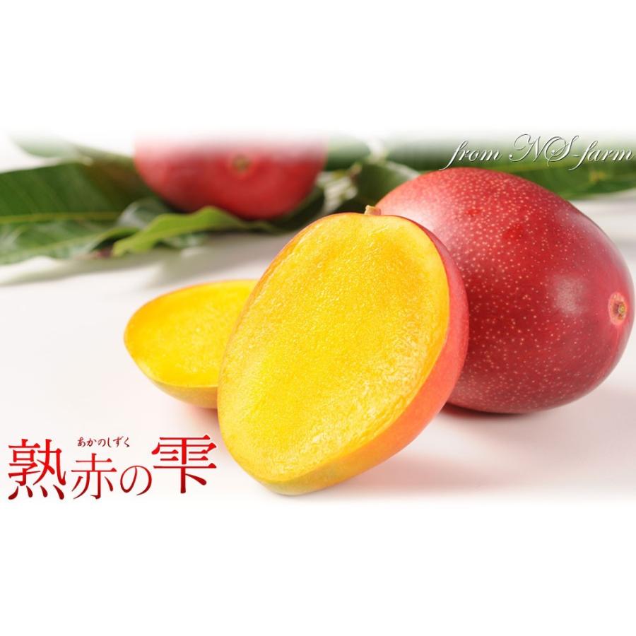 マンゴー 送料無料 宮崎 完熟 【マンゴー 熟赤の雫 化粧箱2玉（2L