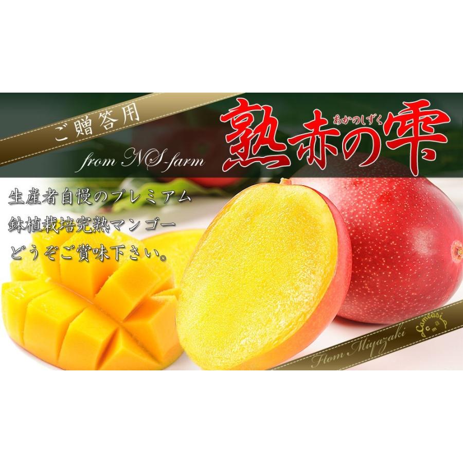 マンゴー 送料無料 宮崎 完熟 【マンゴー 熟赤の雫 化粧箱2玉（2L