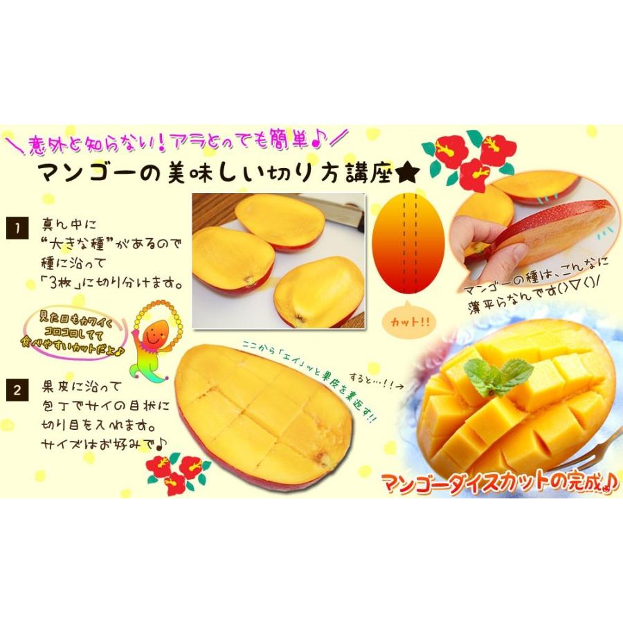 宮崎完熟マンゴー　訳あり　箱込み2,205gです。 マンゴー 送料無料 宮崎 完熟 【マンゴー 熟赤の雫 化粧箱2玉（2L