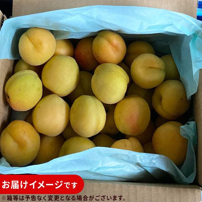 青森県産完熟間近杏　山形3号　箱込み10キロ あんず 生食 送料無料 【青森県産 生あんず 家庭用2kg】 減農薬栽培