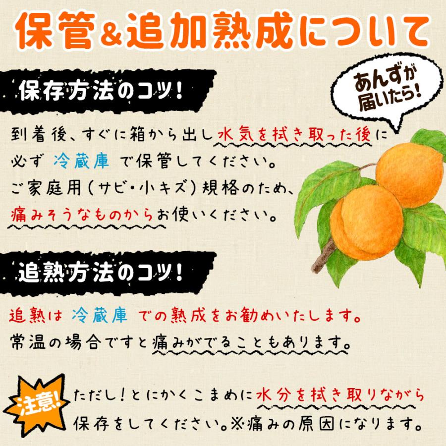 あんず 生食 送料無料 【青森県産 生あんず 家庭用2kg】 減農薬栽培