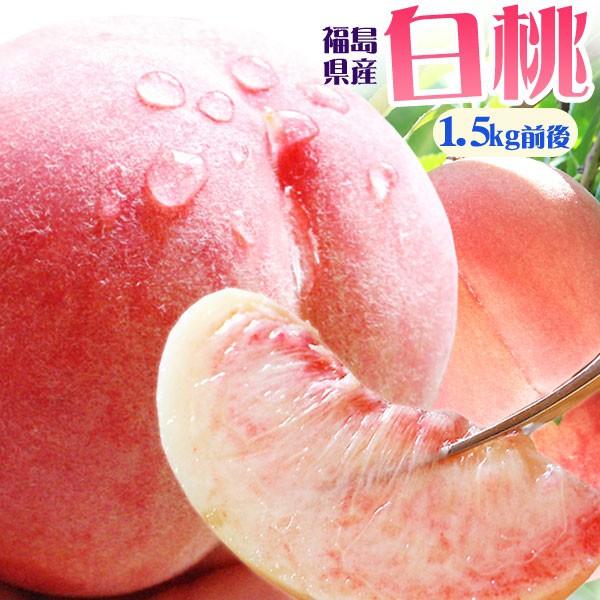 本場の 白桃 贈答用 秀品 送料無料 【福島県産 白桃 1.5kg前後】（5-7玉） エコファーマー ふくしま土壌ネットワーク 桃の会  [産地直送のため同梱不可]