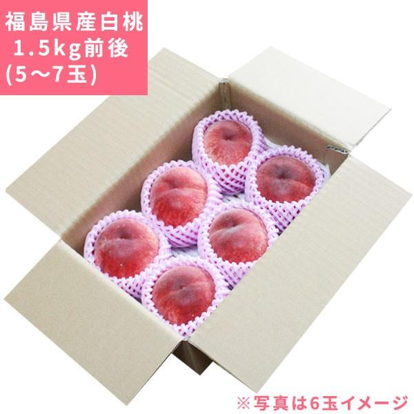 本場の 白桃 贈答用 秀品 送料無料 【福島県産 1.5kg前後】（5-7玉