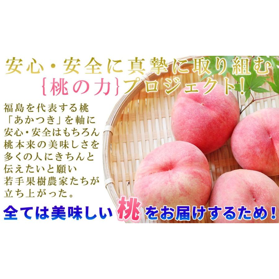 本場の 白桃 贈答用 秀品 送料無料 【福島県産 白桃 1.5kg前後】（5-7玉） エコファーマー ふくしま土壌ネットワーク 桃の会  [産地直送のため同梱不可]｜cameashi｜05