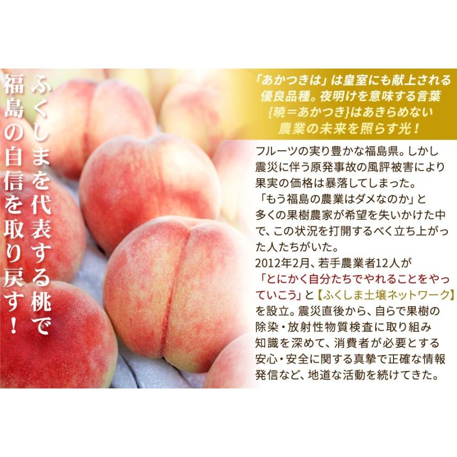 本場の 黄桃 贈答用 秀品 送料無料【福島県産 1.5kg前後】（5-7玉