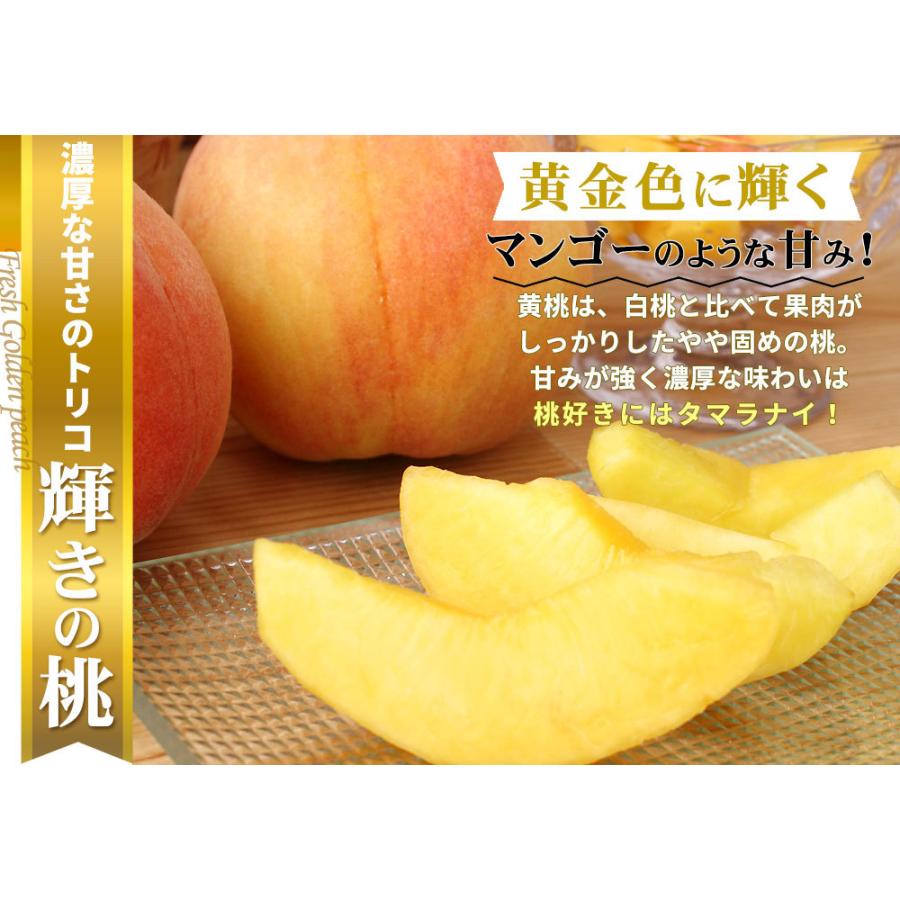 本場の 黄桃 贈答用 秀品 送料無料【福島県産 1.5kg前後】（5-7玉