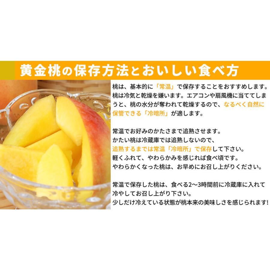 本場の 黄桃 贈答用 秀品 送料無料【福島県産 1.5kg前後】（5-7玉