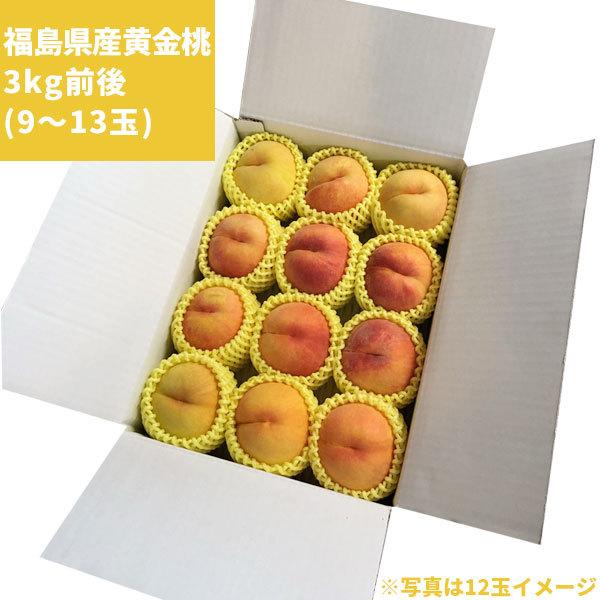 本場の 黄桃 贈答用 秀品 送料無料 お徳用【福島県産 3kg前後】（9-13  