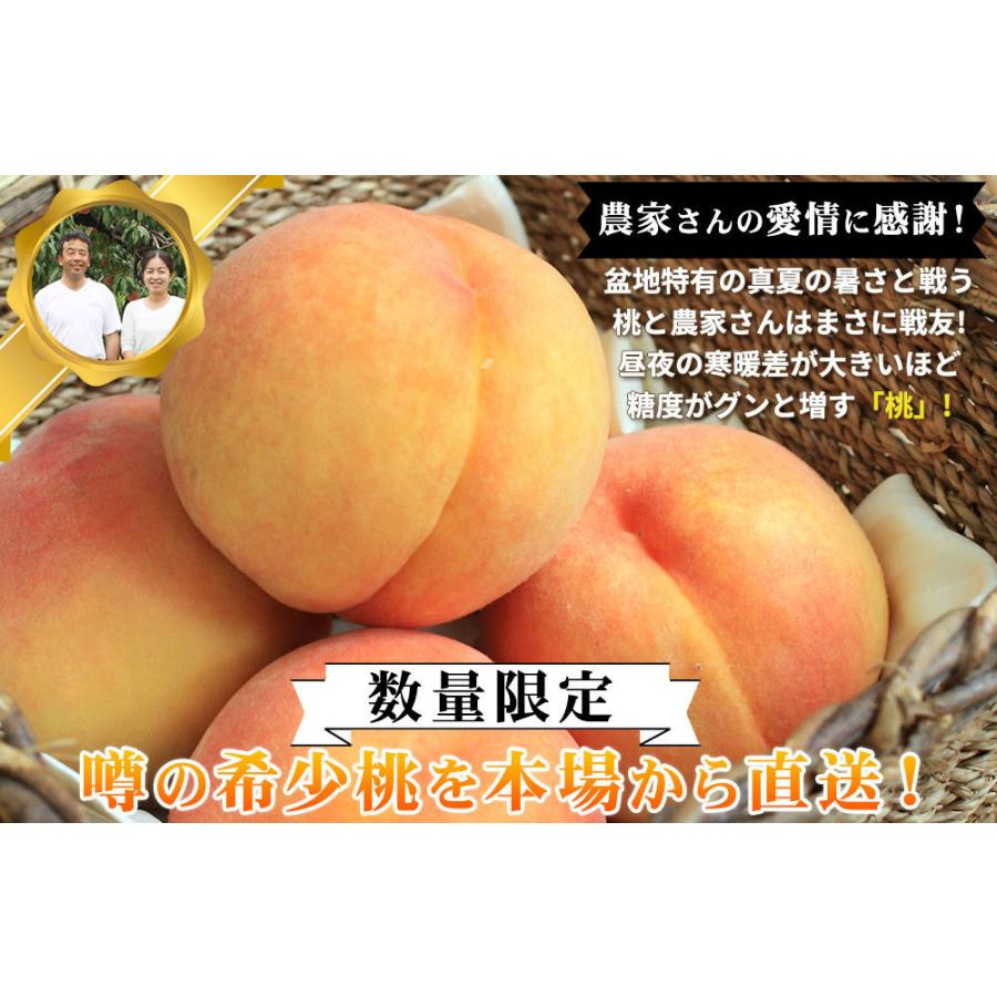本場の 黄桃 贈答用 秀品 送料無料 お徳用【福島県産 3kg前後】（9-13