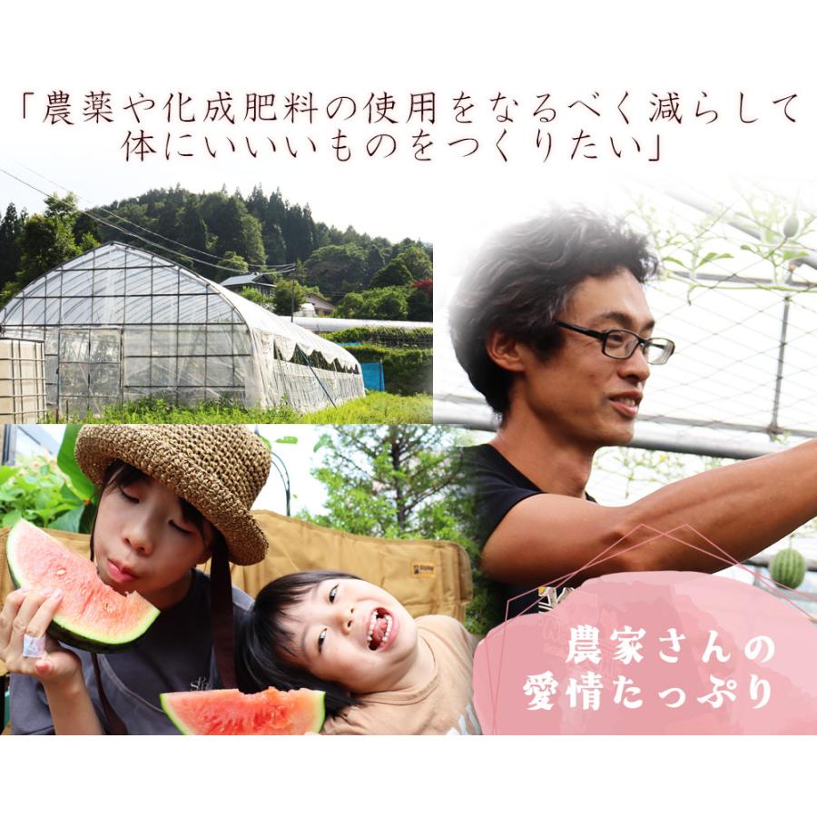 小玉スイカ 送料無料 【青森県産 小玉すいか 南部華手毬 2玉】 食べ