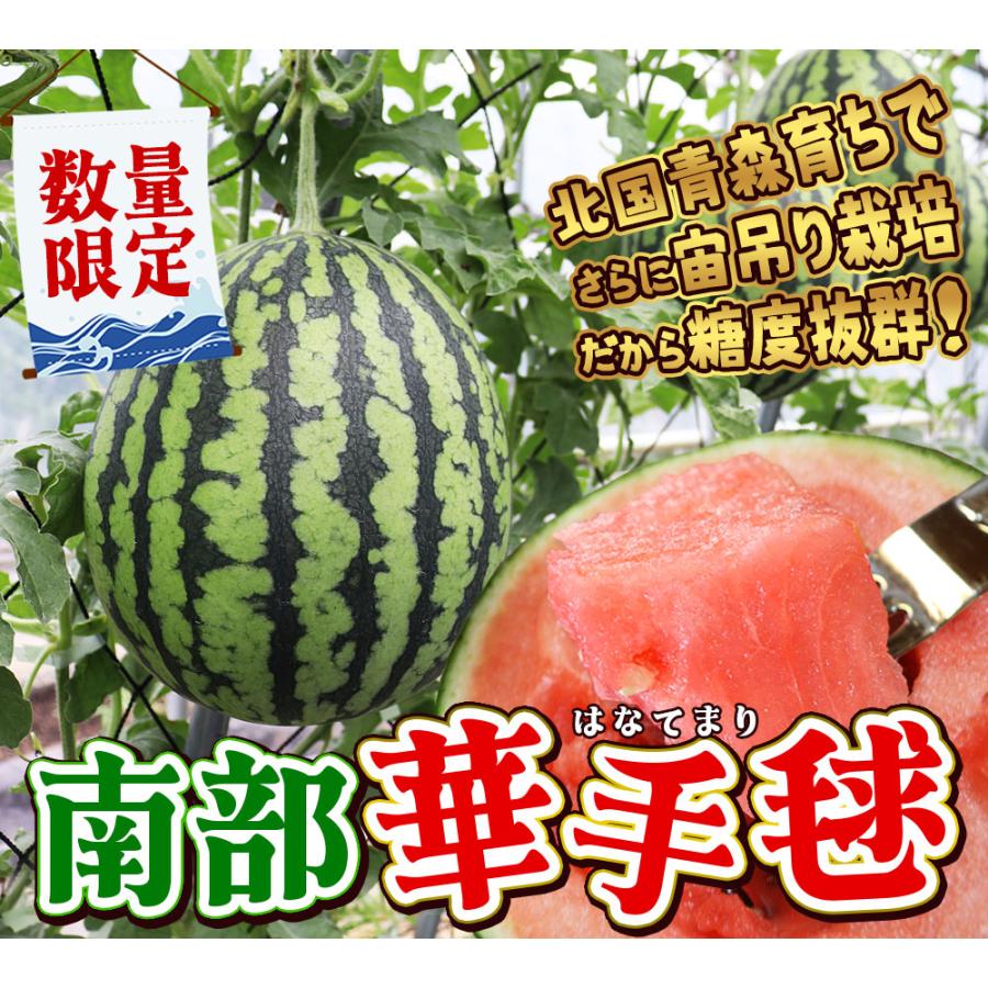 青森県産 小玉スイカ 4玉 送料無料 小玉スイカ 送料無料 【青森県産 小玉すいか 南部華手毬 2玉】 食べ
