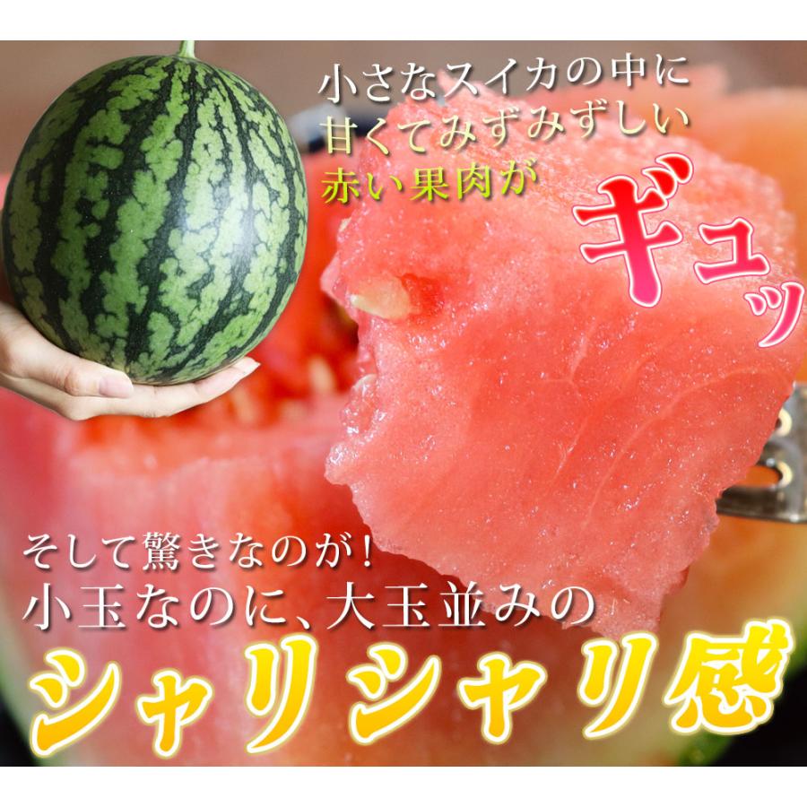 小玉スイカ 送料無料 【青森県産 小玉すいか 南部華手毬 2玉】 食べ