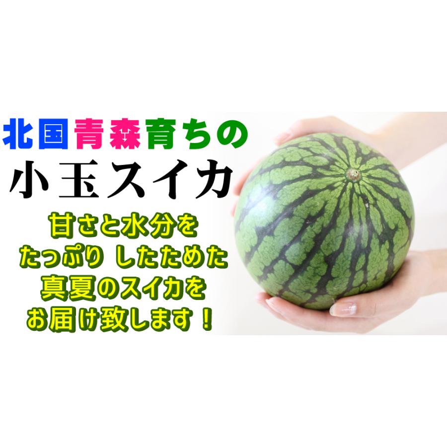 小玉スイカ 送料無料 【青森県産 小玉すいか 南部華手毬 5kg以上】 3玉